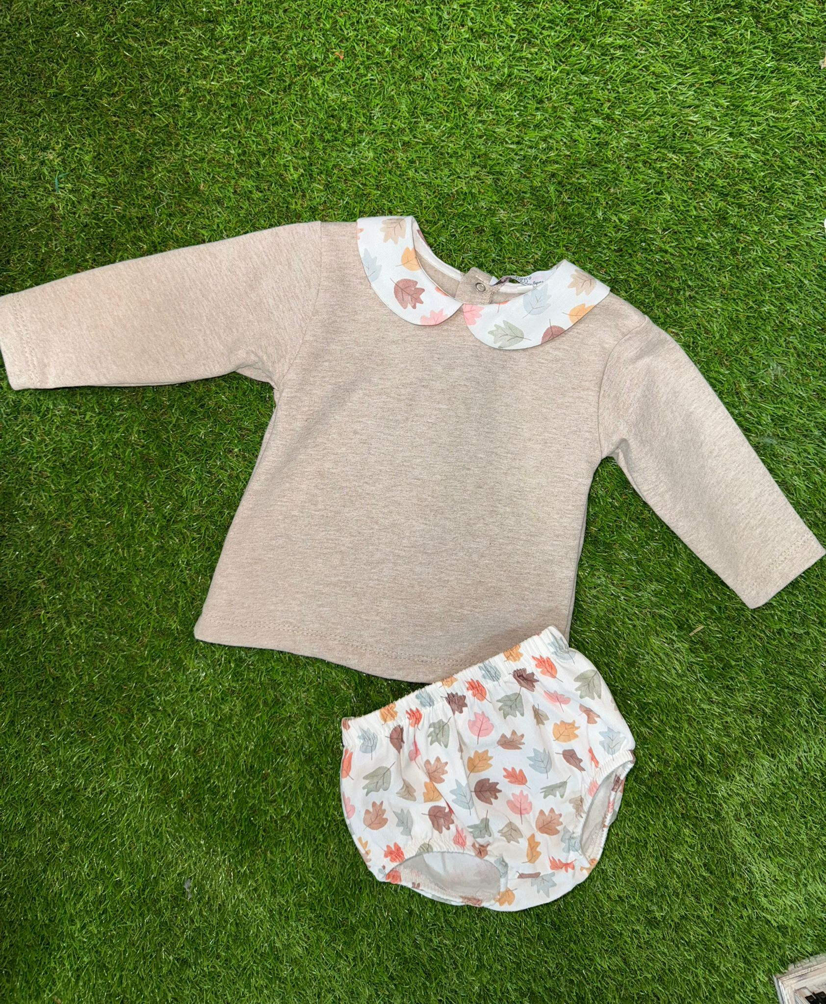 WhatsApp Image 2026 01 14 at 19.19.37 (1)