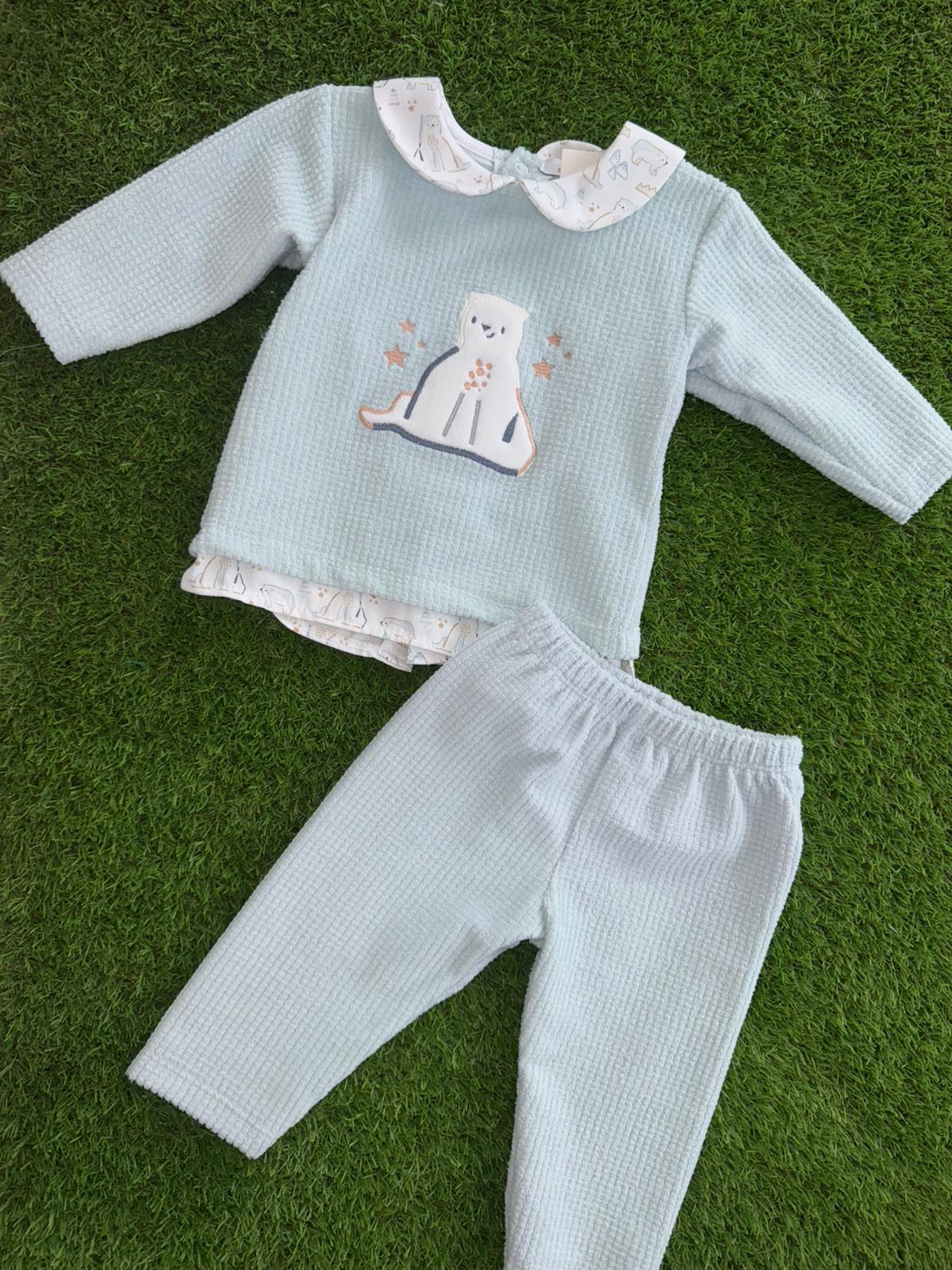 WhatsApp Image 2026 01 17 at 11.11.50