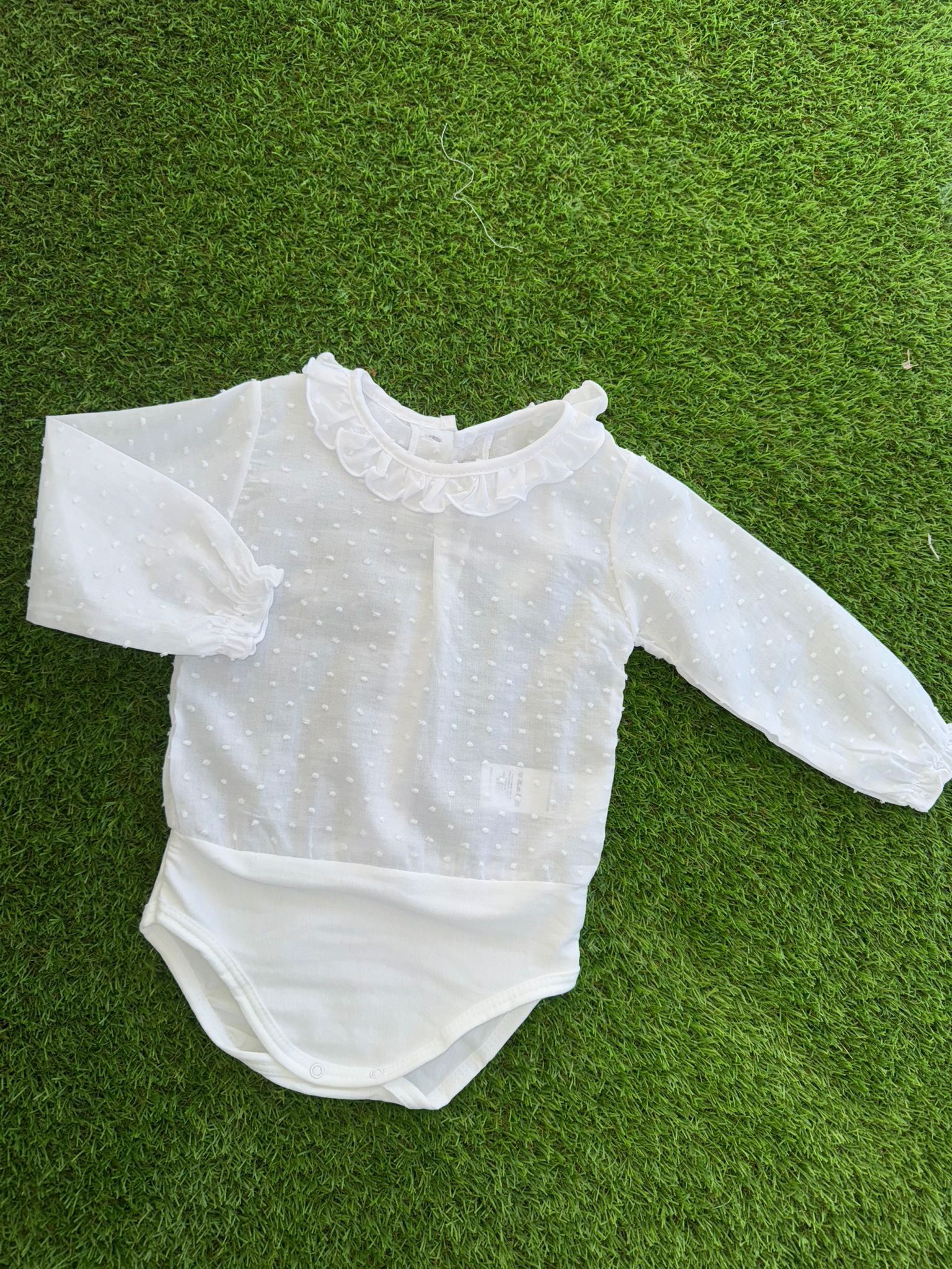 WhatsApp Image 2026 01 17 at 12.28.27 (1)